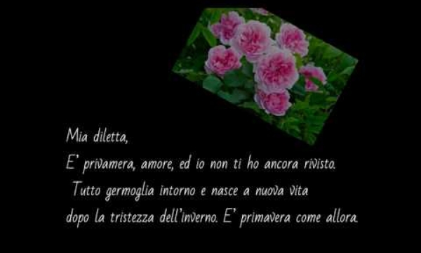 Lettere d'Amore n°14